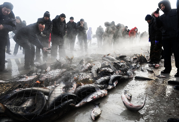 Winter fishing festival marked in NE China