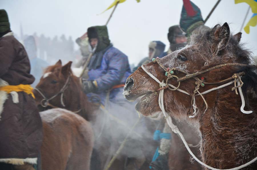 Nadam festival gallops into Inner Mongolia