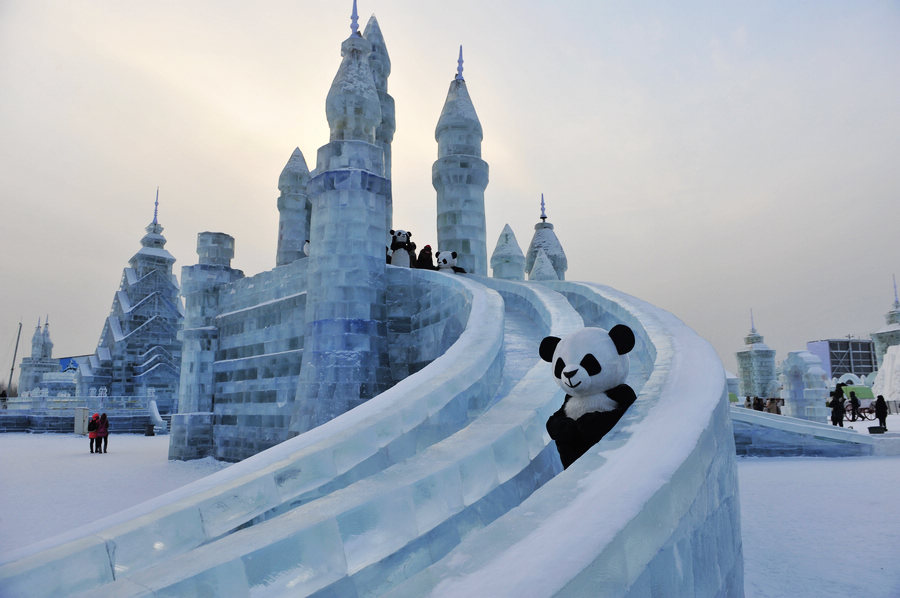 Visitors enjoy ice world