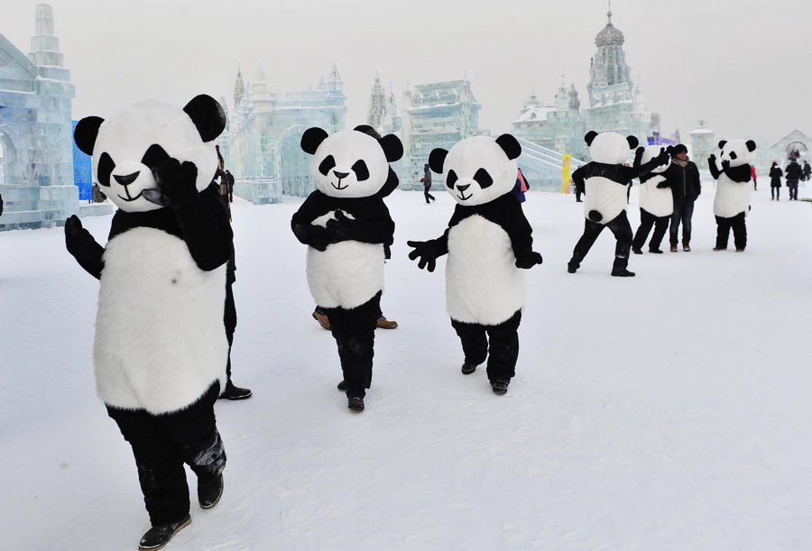 Visitors enjoy ice world