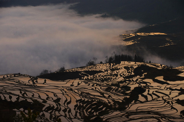 Patchwork beauty of Yunnan terraced fields