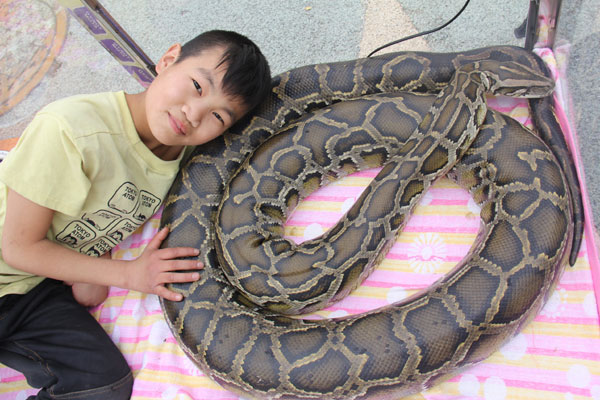 Boy stays with pet python in S China