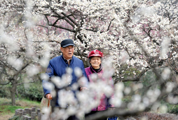 Spring blossom comes to East China