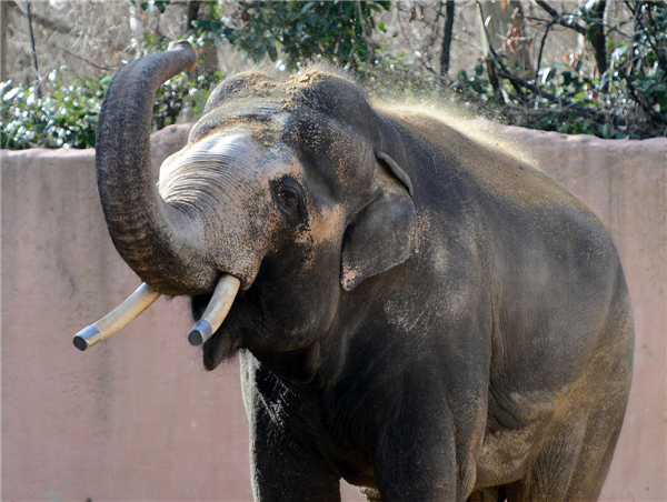 Animals enjoy sunshine in German zoo