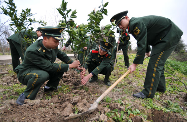 Planting trees across China