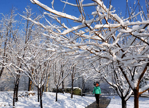 Beijing blanketed by spring snow