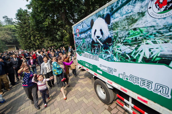 Pandas sent off for the cameras