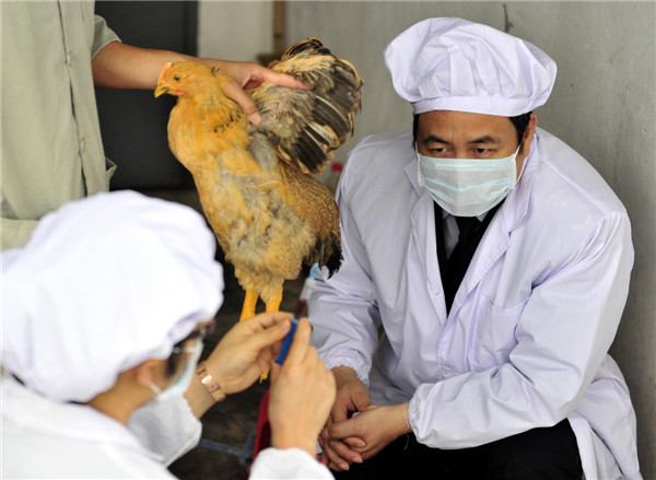 Ensuring safety of poultry sent to HK, Macao