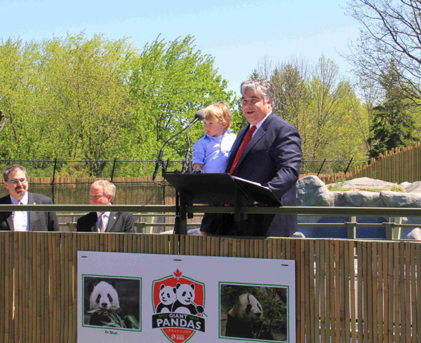 Giant pandas debut at Toronto Zoo