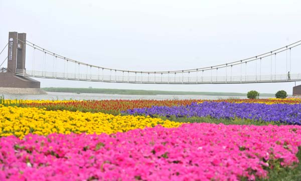 Wetland park opens in Tianjin