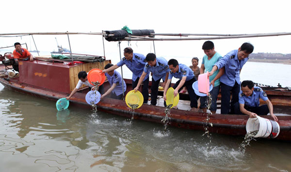 Fish release starts in E China