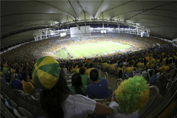 Cheering fans at the Confed Cup final