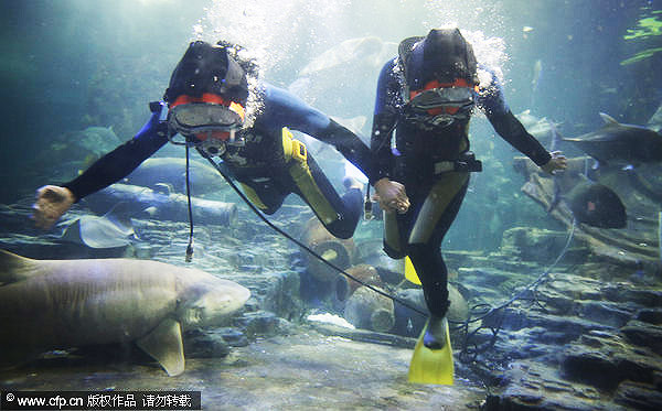 Friends with marine life at Wuhan's Sea World