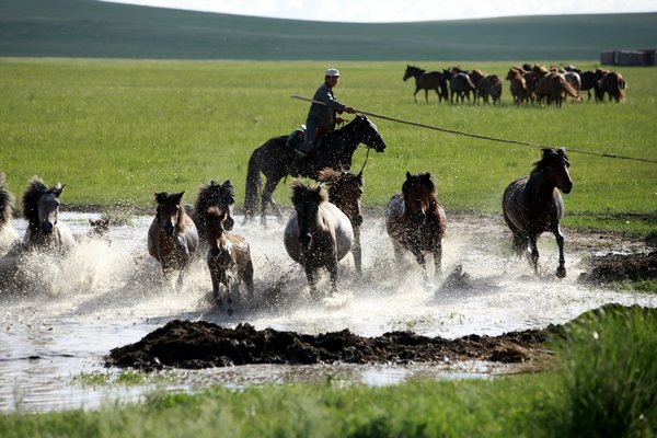 Galloping through prairie in Inner Mongolia