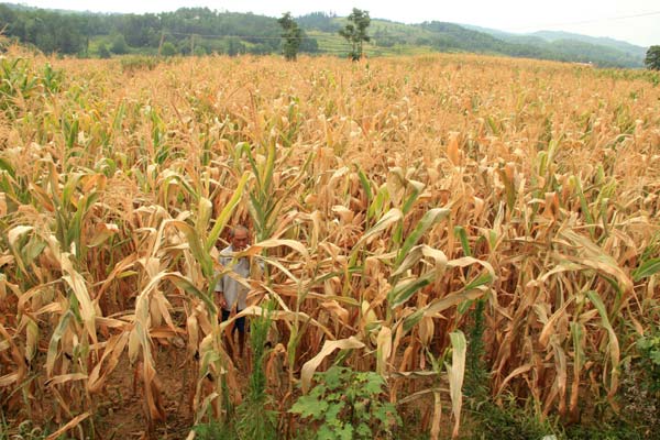 Drought scorches parts of China