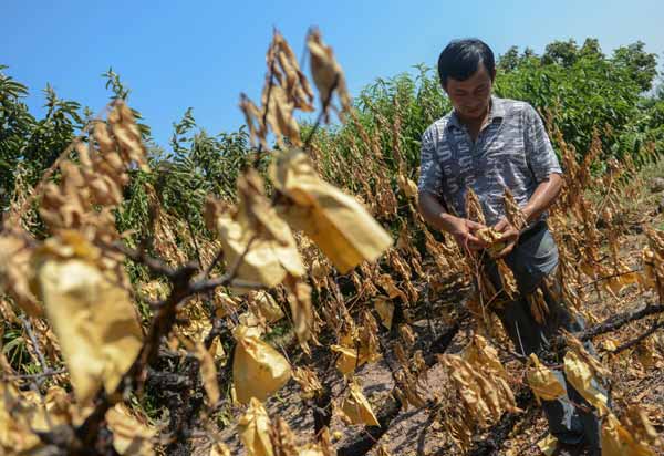 Autumn begins, not in terms of temperatures