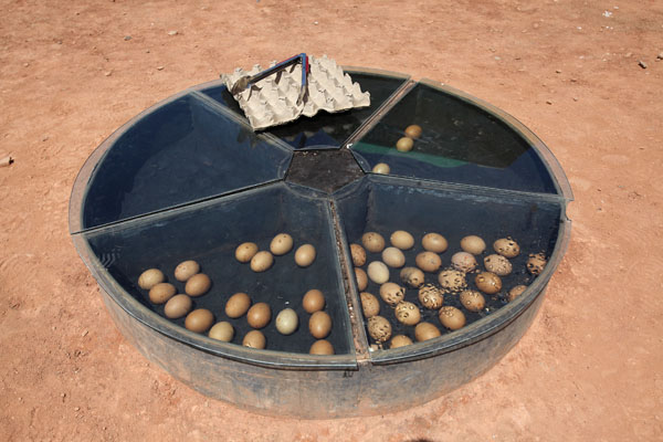 Hot eggs in Flaming Mountains