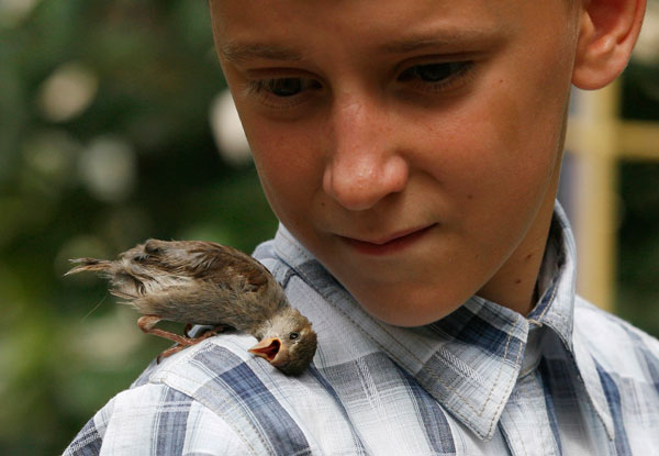 My little bird is always pecking my ear