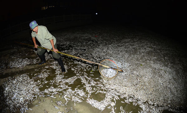 Pollution kills fish in C China river