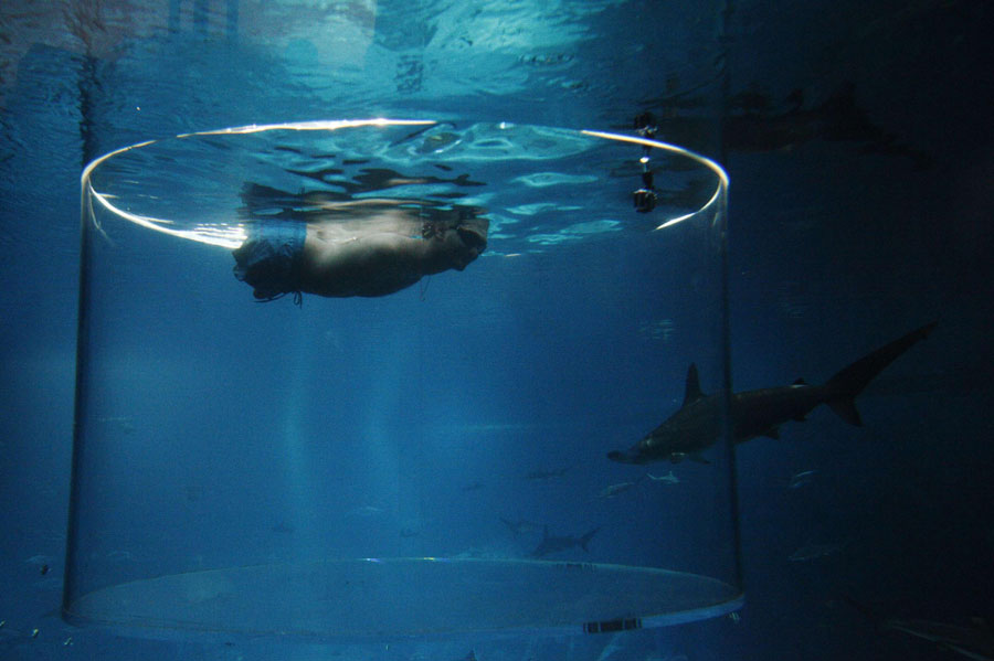 Man swims with sharks without limbs