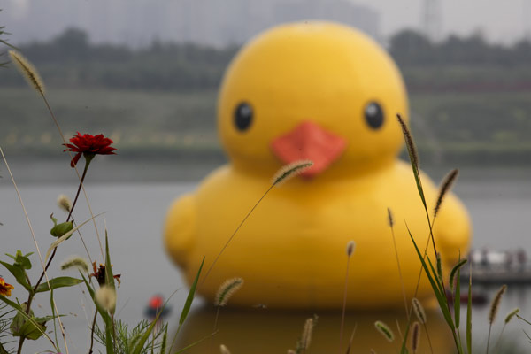 Giant Rubber Duck comes to life in Beijing