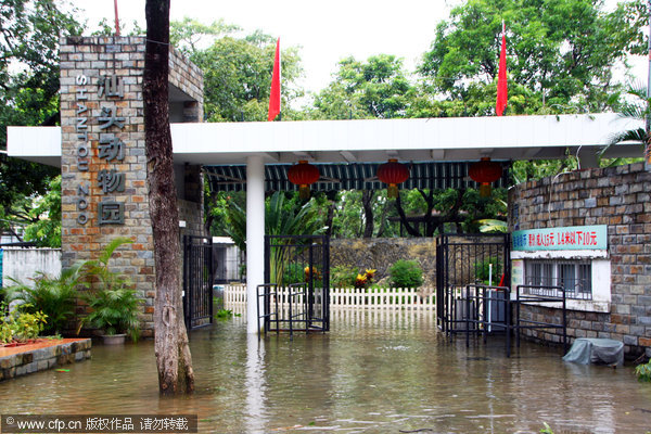 Hippo 'breaks prison' in typhoon-triggered flood