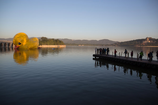 Rubber duck adjusting to spot at Summer Palace