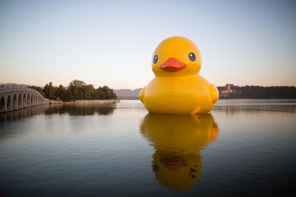 Rubber duck adjusting to spot at Summer Palace