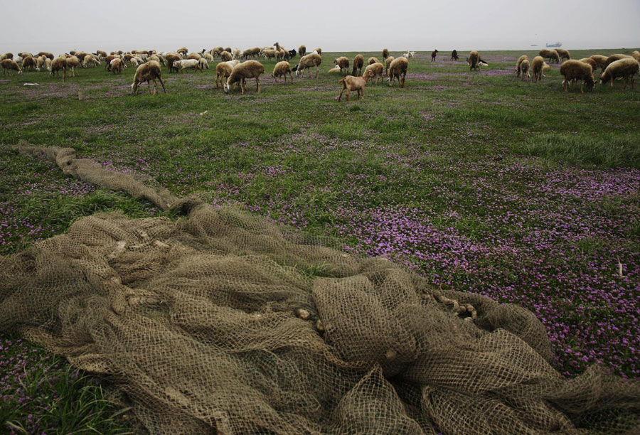 Poyang is in drought