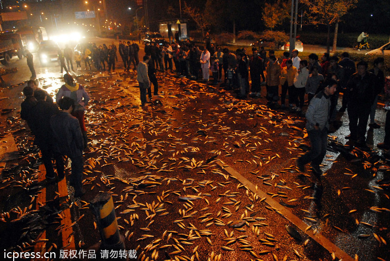 Massive fish spill in C China