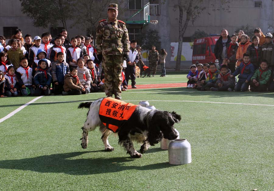 Search-and-rescue dogs wow students in NW China