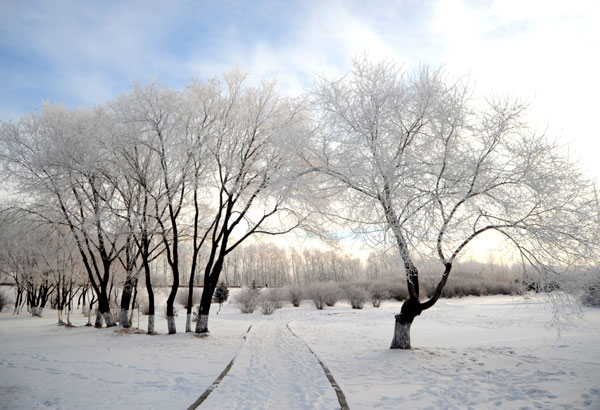 Rime scenery in NE China