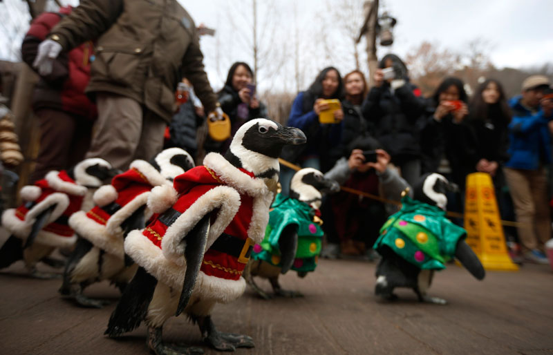 Promotional event for Christmas in South Korea