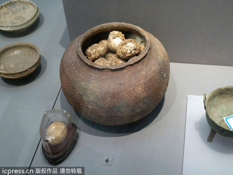 2,800-year-old fossilized eggs exhibited