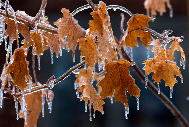 Ice storm hits Toronto