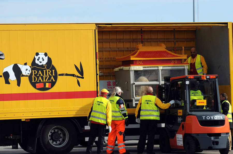 China's giant pandas arrive at Belgian zoo