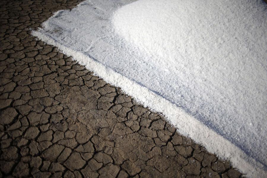 Laborers collect salt at salt pan in the western Indian state of Gujarat