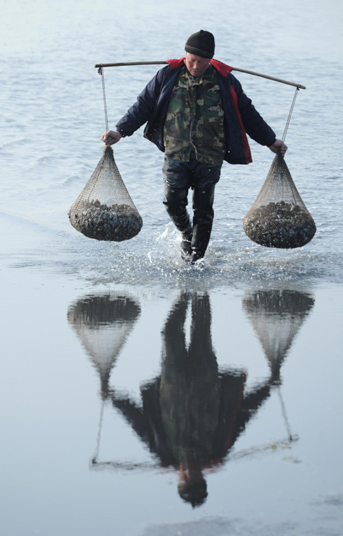 Net gain for shellfish collectors