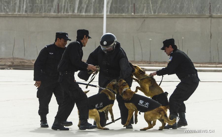 Police camp open day in Kashgar