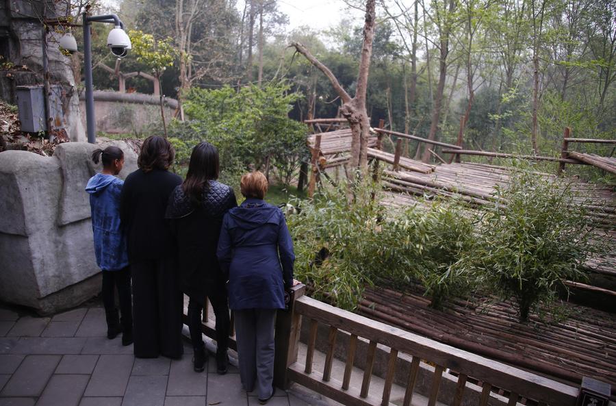 US first lady visits giant pandas