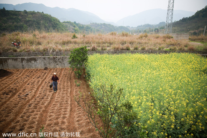 Poisonous mine turns village into cancer community