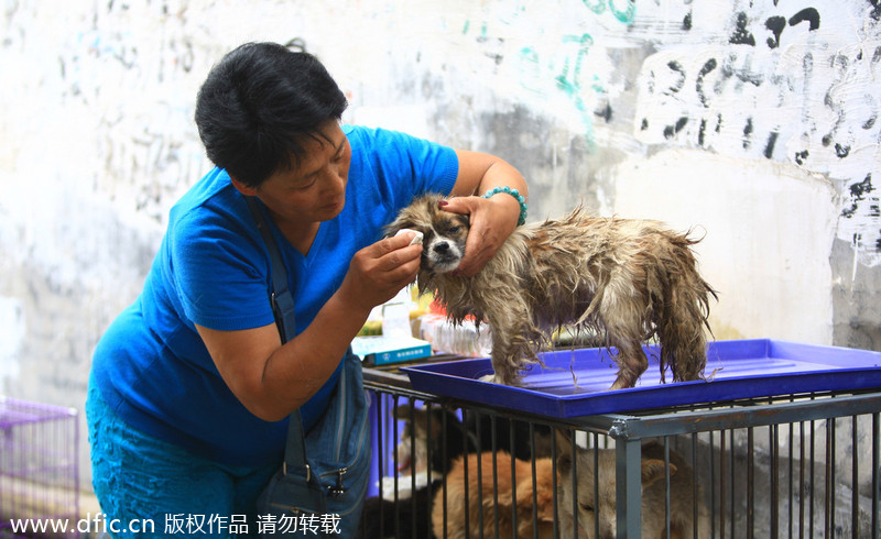 Yulin dog meat vendors make money off activists