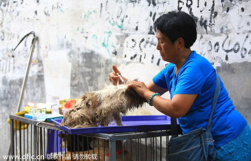 Yulin dog meat vendors make money off activists