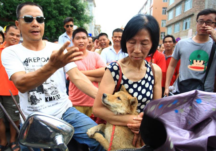 Yulin dog meat vendors make money off activists