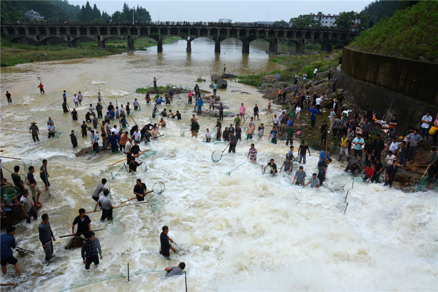 Fish going free as E China floodgates open