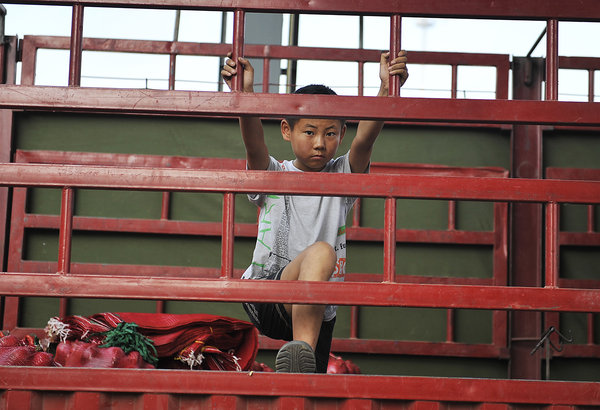 Summer holiday at farmers' market