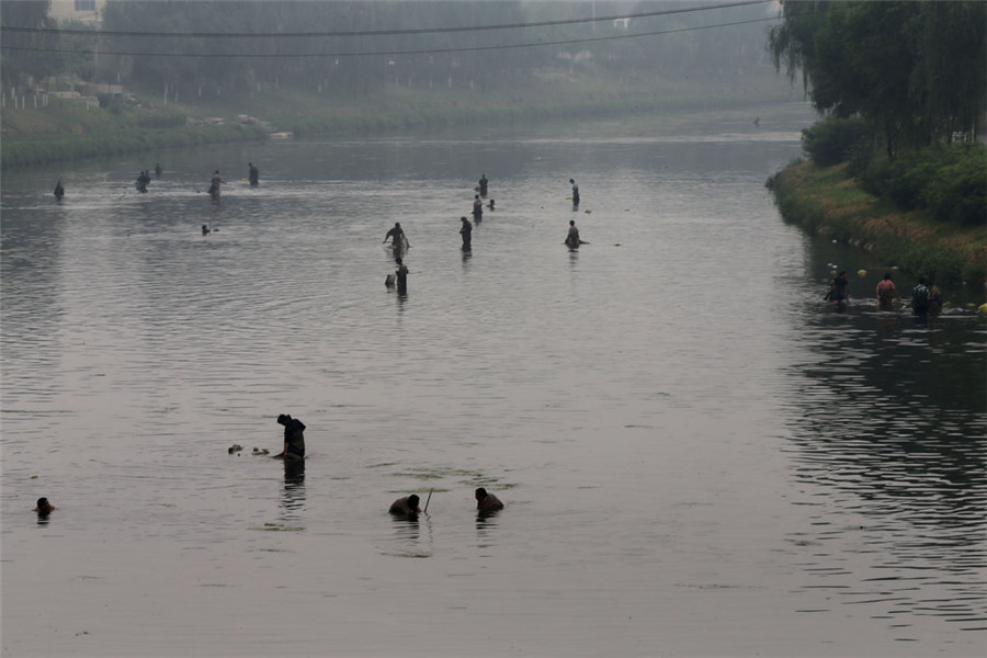 The worm catcher in the river