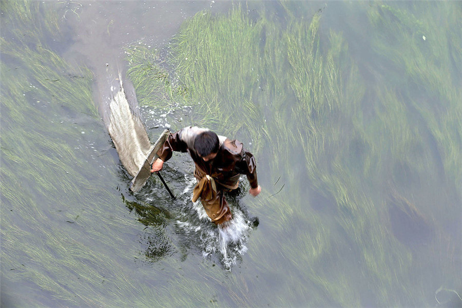 The worm catcher in the river