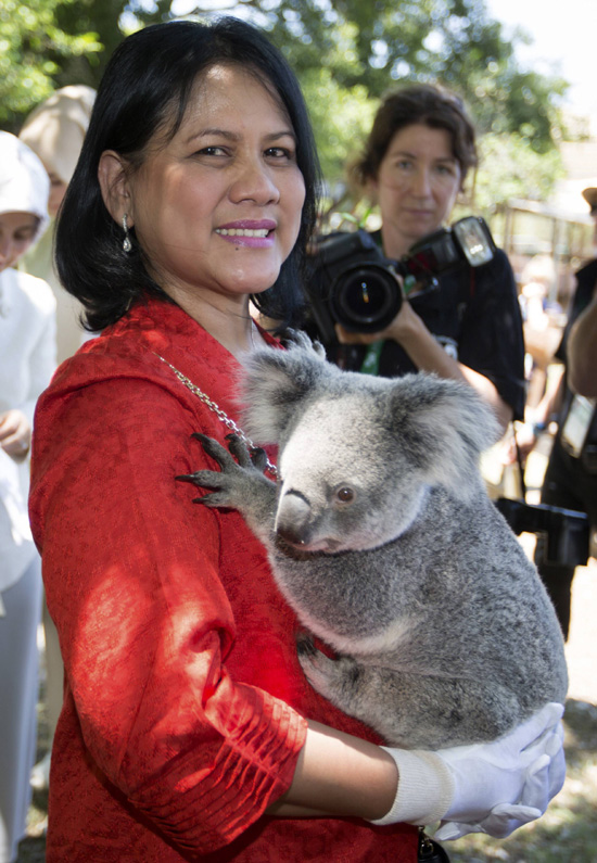 First ladies cuddle up to koalas