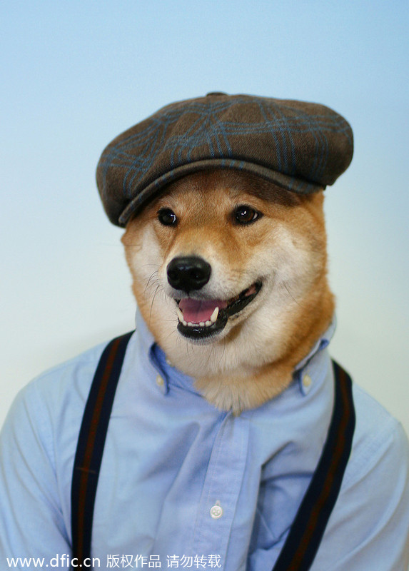 Trend watch: Stylish Dog goes viral